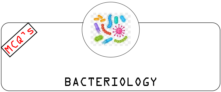 microbiology bacteriology