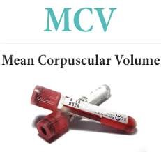 Mean Corpuscular Volume